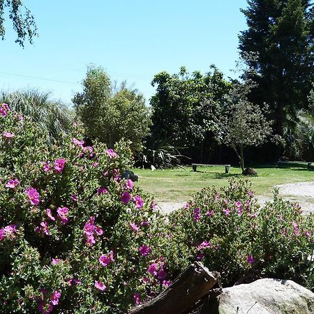 Fernwood Holiday Park Motueka Bilik gambar